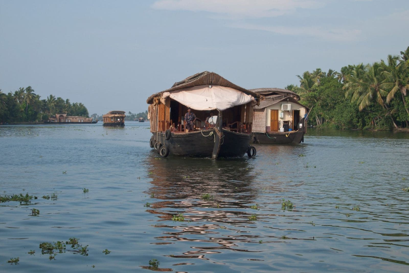 Two houseboats cruising across open backwater with palms along the shore